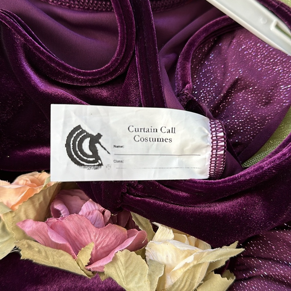 Curtain Call Costume dance - Picture 2 of 8